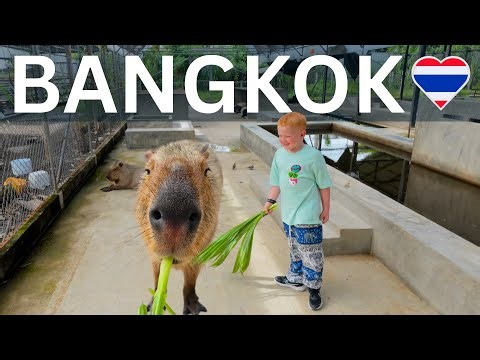 You Won't Believe this Bangkok FARM CAFE 🇹🇭 (craziest animals ever!)