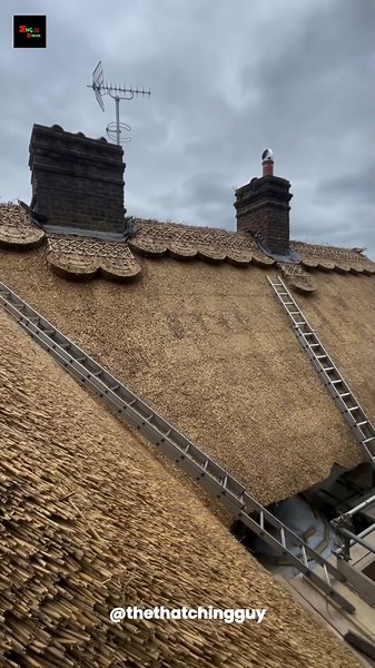 Amazing Thatched Roof Craftsmanship