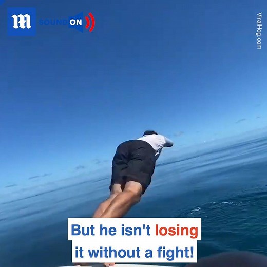 11M views · 68K reactions | The bond between a man and his fishing rod is sacred! Via ViralHog | Daily Mail Video | Facebook