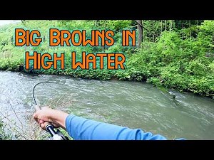 Streamer Fishing in Muddy Water for Wild Browns (Spring Creek, PA)