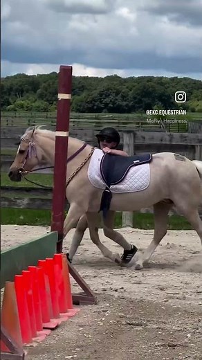 Working with Gabby on the start of an off side vault. #horse #equestrian #equines #horsefan #goals