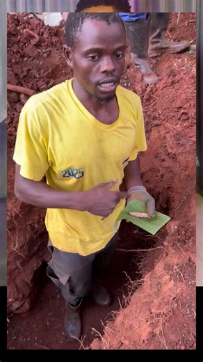 THE ANT MANY NATIVE DOCTORS USE FOR WORK #shorts #youtubeshorts #trending #viral