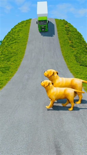 Big & Small Cars & Truck VS Dog, Camel & Bengal Tiger - BeamNG.Drive #crazycars