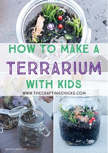 How to Make a Terrarium