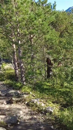 Hiking in Norway – when the trail is even more beautiful than the view. #solotravel #hiking