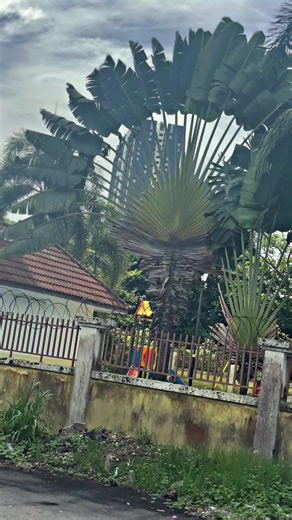 tembak” dorr dorr#v8nation🇲🇾 #54infinity♿️ #hitambatman🦇🖤 #lcv8jahat #takcleantakkeluar #lcv8modified #foryou