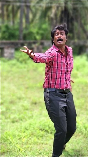 palamudhircholai song varusham 16 movie #agripandian #navarasanayagankarthik #karthik