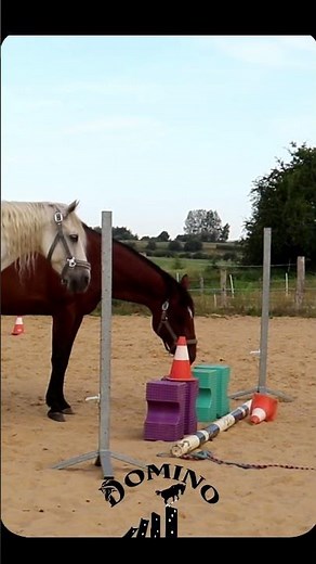 Branchement sur chaque cheval à son tour...