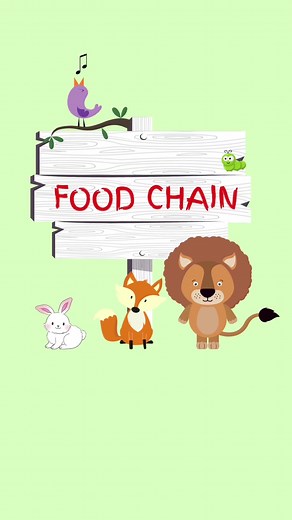 Understanding Food Chains: A Simple Explanation