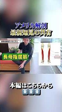 [Latest Edition] Make Walking Easier! American Anatomical Techniques for the "Flexor Hallucis Lon...