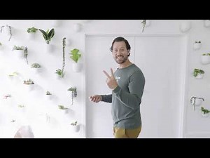 2-Minute Core Workout For Beginners