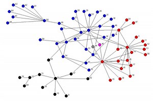 Fan effect - Alchetron, The Free Social Encyclopedia