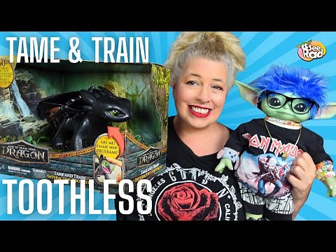 How Interactive is the How To Train Your Dragon Tame & Train Toothless?