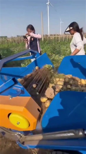 पोटेटो हार्वेस्टर कैसे काम करता है #trending #shortsfeed #facts #harwester #potato #shorts