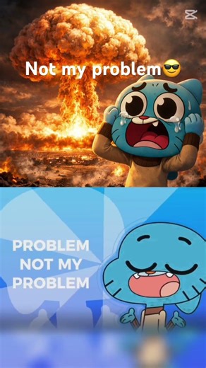 Not my problem#попугай4ик видео не моё ￼
