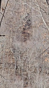 If you're looking for a fun ziplining experience come see us at the Black Mountain Thunder Zipline. Bring the little ones too. Even if they can't ride on their own one of the guides can ride with them! | Black Mountain Off-Road Adventure Area