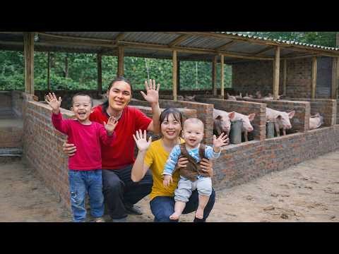 Build a New Pig House Using Simple Materials Available at Home - Rural Farm Life | SURVIVAL ALONE