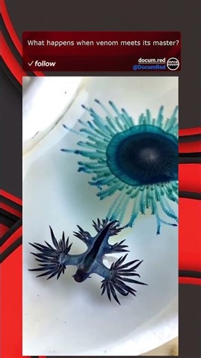 What happens when venom meets its master?