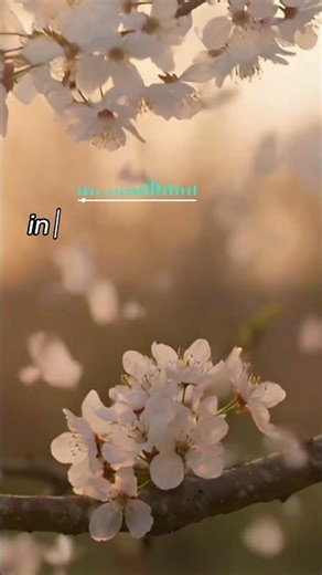 Spring Awakening: The Melodic Magic of Piano Music 🌸🎹