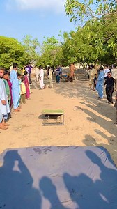 20K views · 400 reactions | Front somersault | A R Martial Arts Academy | Facebook