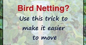 A Garden Hack - How to make your bird netting glide - Our Stoney Acres