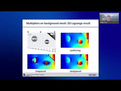 FEM@LLNL | Topics in Immersed Boundary and Contact Interface Methods