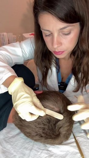 Mad P ASMR on Instagram: "ASMR scalp check medical roleplay for sleep and relaxation | doctor roleplay | hair sounds #asmr #asmrsleep #asmrrealperson #madpasmr #asmrscalp"
