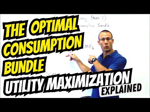 Utility Maximization: The Optimal Consumption Bundle (Topic: Consumer Choice)