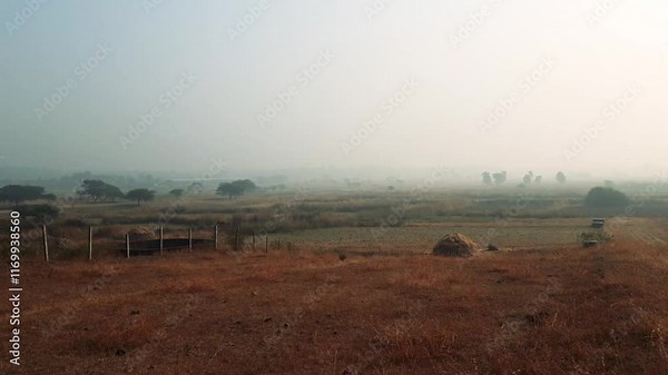 A stunning panning shot of an open piece of land showcasing natural beauty, perfect for real estate, environmental projects, or scenic background needs. Ideal for video creators, presentations.