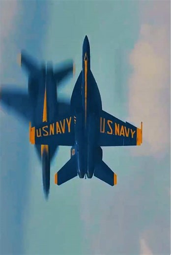 Blue Angels: A Showcase of U.S. Navy Excellence