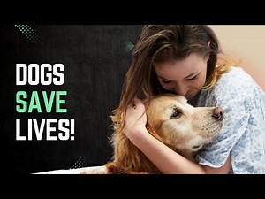 10 Heartwarming Reasons to Have a Dog 🐶| Health Benefits of Dogs #dogbenefits