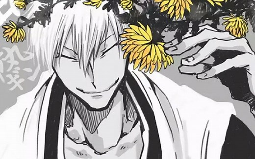 【死神 BLEACH】完整版30首ED合辑