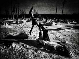 Am Tag Unter Null - A8/ Erfrieren