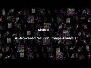 Aivia 10.5 [Launch] - AI-powered autonomous neuron analysis
