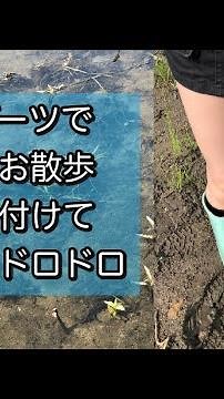 レインブーツで大きな水溜りをピチャピチャお散歩して泥濘探し。