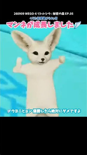 #wegosix くうた初登場から4ヶ月！マンネが成長しました🪽【リトルシウ😈の秘密の森🌳】 비밀의 숲🌳 #위고식스 #kuta #쿠우타 #日本語字幕