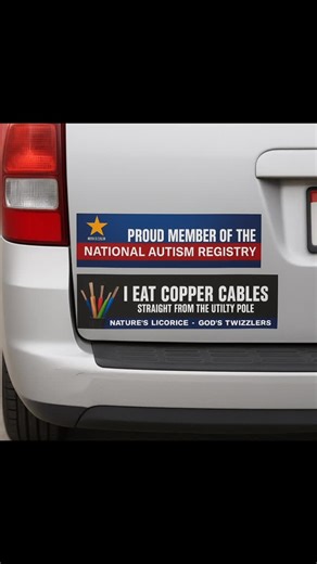 Funny Gifts You Need | shop these funny car magnets! Link in bio #carsticker #carmagnets #bumperstickers #cardecals | Instagram