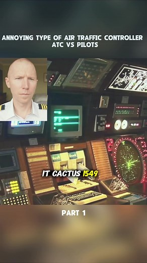 ATC vs Pilots: Bird Strike Emergency and Radio Confusion