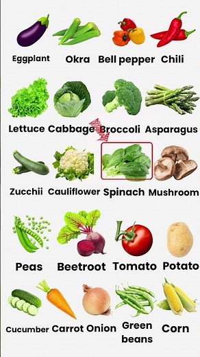 Vegetable Vocabulary in English – Easy English Vocabulary for Beginners | Improve English Fast