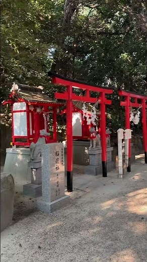 【兵庫県西宮市 越木岩神社】不思議な神社。凄いパワーをもらえた。#西宮市#越木岩神社