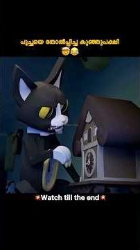 പൂച്ചയെ തോൽപ്പിച്ച കുഞ്ഞുപക്ഷി..#malayalam #movie #shortvideo #shorts