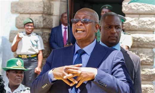 Opposition Movement Claims Mnangagwa Amnesty Dubious, Catastrophic