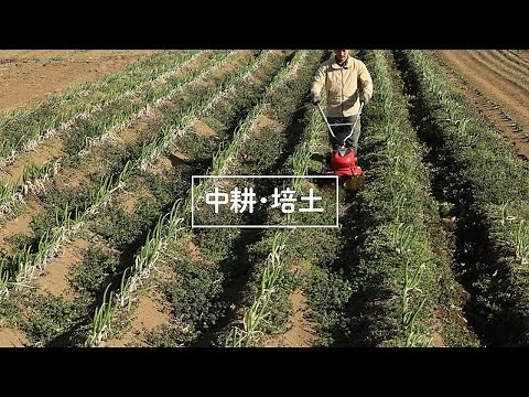 Honda耕うん機 「耕うん機でできること・中耕/培土作業編」