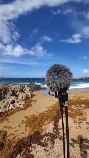 RODE NT-SF1 🌊 Our "new" Ambisonics microphone!