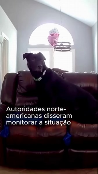 Terremoto de magnitude 5,1 atinge San Diego, na Califórnia; veja vídeos do tremor