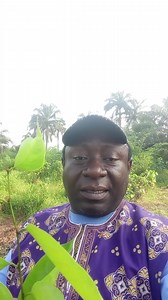 Inflammation De La Prostate, La Prostatite. Comment Se Débarrasser De Cette Pathologie ? Regardez Cette Vidéo Jusqu'à Sa Fin Afin De Bénéficier Des Bienfaits Des Produits Naturels. Contact 2348133751423 Dr Hilaire Nasser F | Traitement aux plantes naturelles