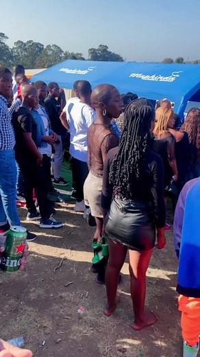 mliqo (@mliqo6)’s videos with original sound - mliqo