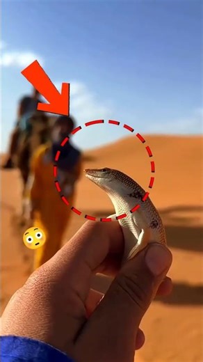 Desert Animals That Can Survive Years Without Drinking Water… The Last One Will Surprise You! 🐪😲