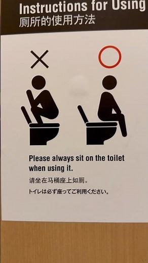🌸 Toilet Etiquette in Japan: Sit, Don’t Squat! - softypapa shorts 🚽🇯🇵✅