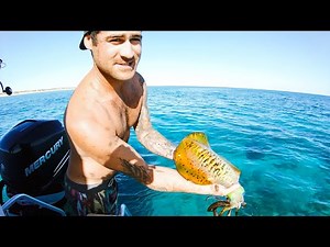 SQUID CATCH AND COOK | Fishing For Big Reds - Ep 92